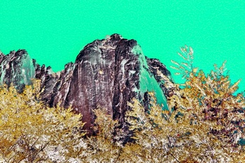 L 019B